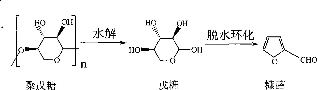 Solid acid catalysis and supercritical extraction coupled furfural preparation and apparatus