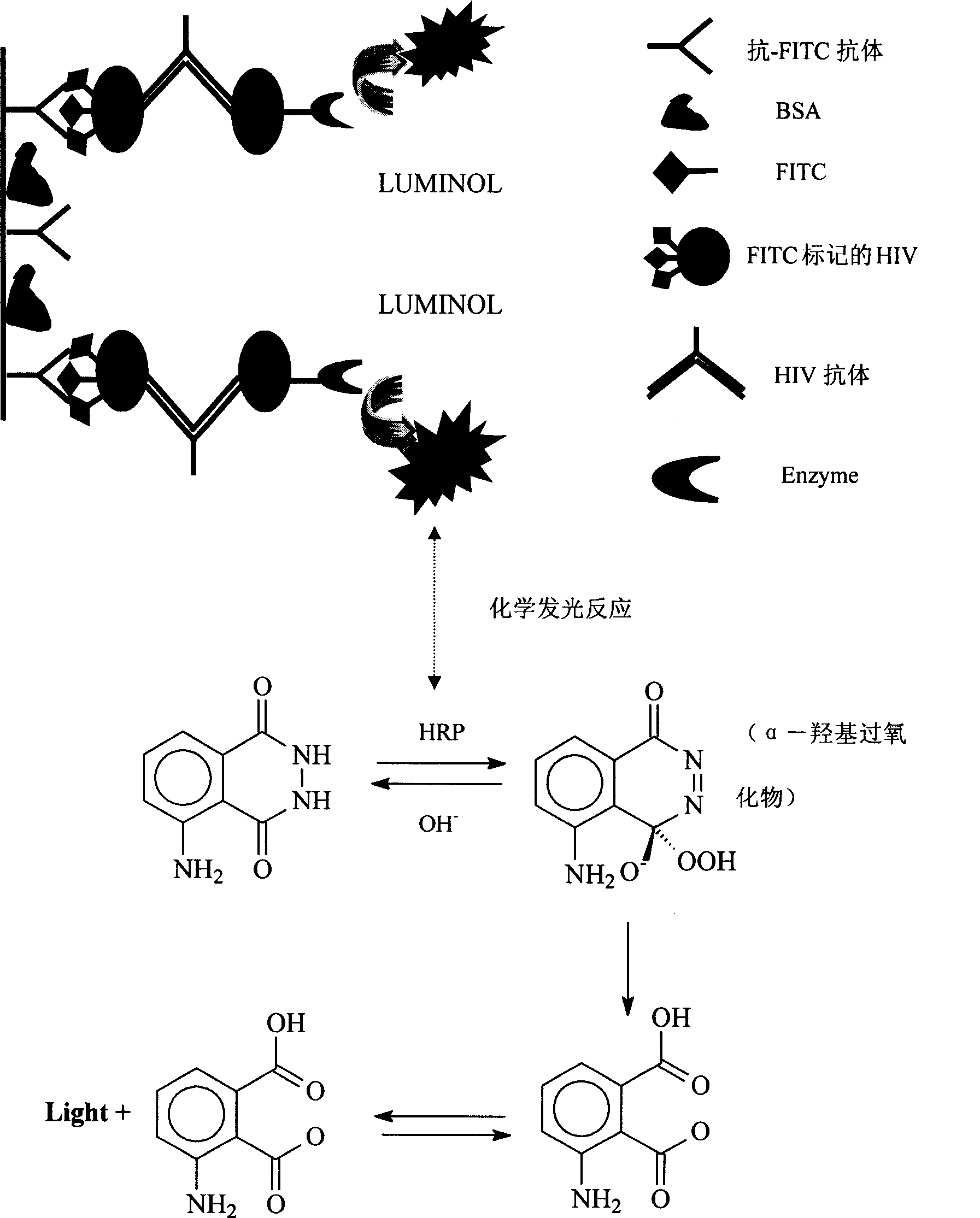 Human immunodeficiency virus antibody chemiluminescence immune analyzing diagnose reagent box and method of producing the same