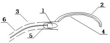 Back projection illuminating device