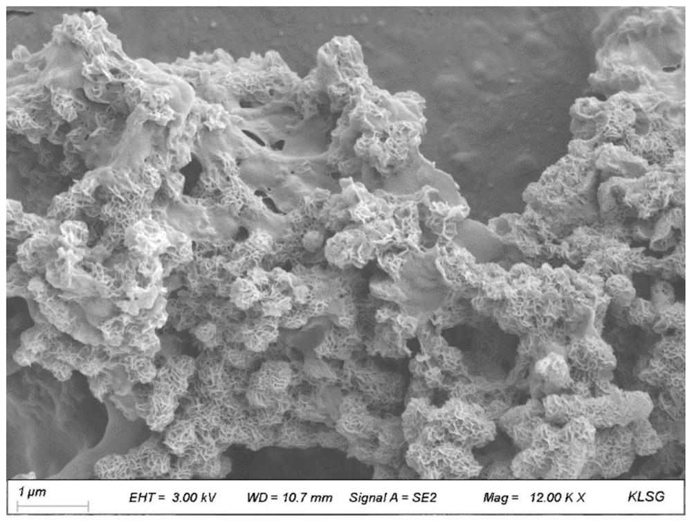 Method for sealing carbon dioxide by using basophilic algae