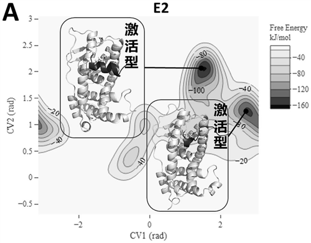 A method for identification of mixed pseudo- and anti-estrogen disruptors based on enhanced sampling molecular dynamics simulation