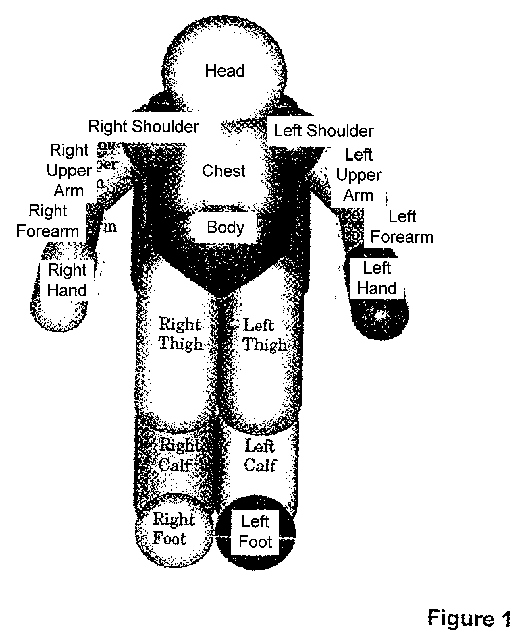 Robots with Collision Avoidance Functionality