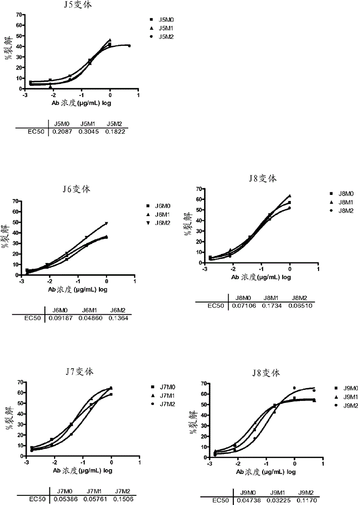 BCMA (CD269/TNFRSF17) binding proteins