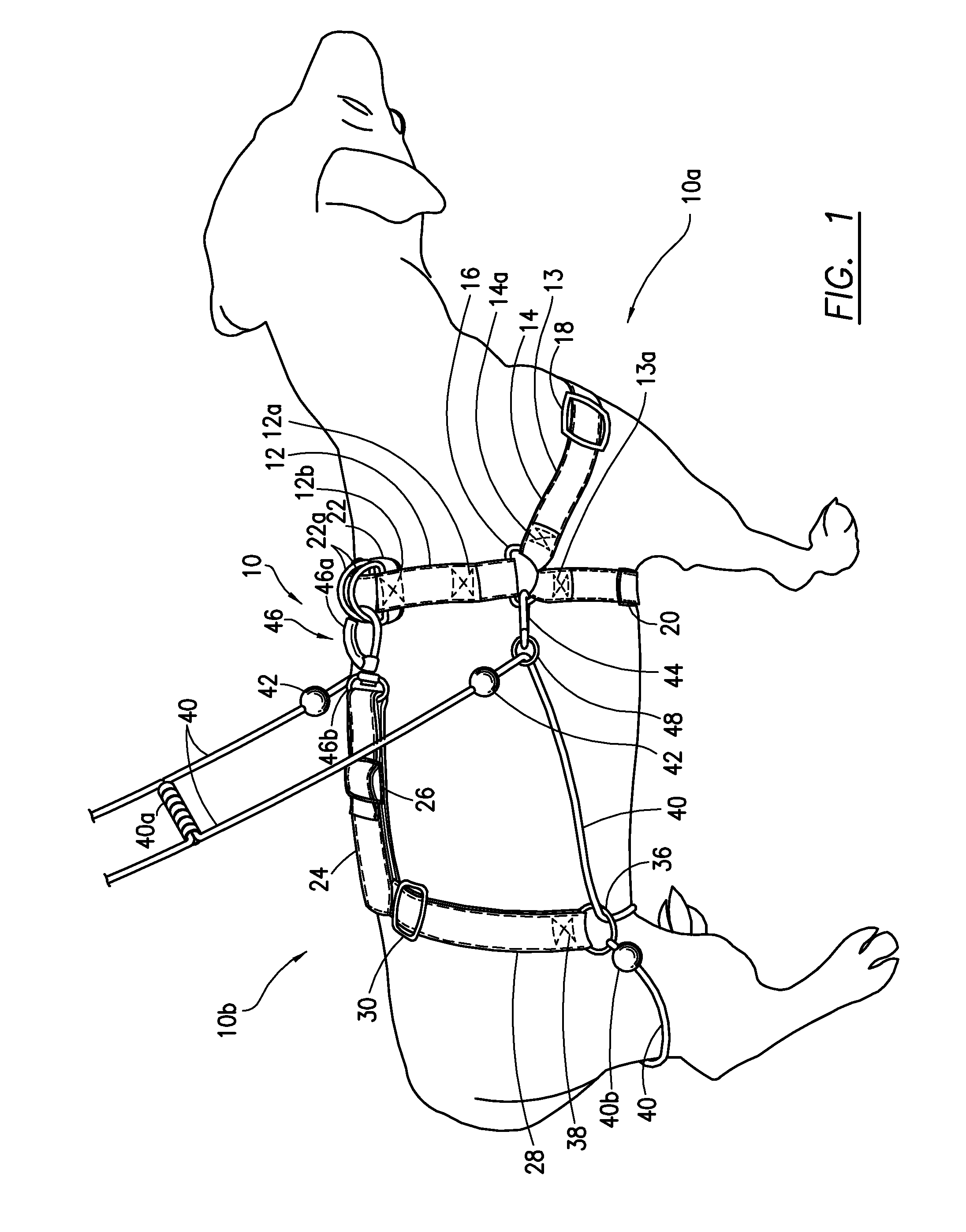 Motion control harness for a medium to large dog