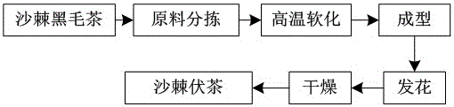 Novel sea buckthorn tea and making method thereof