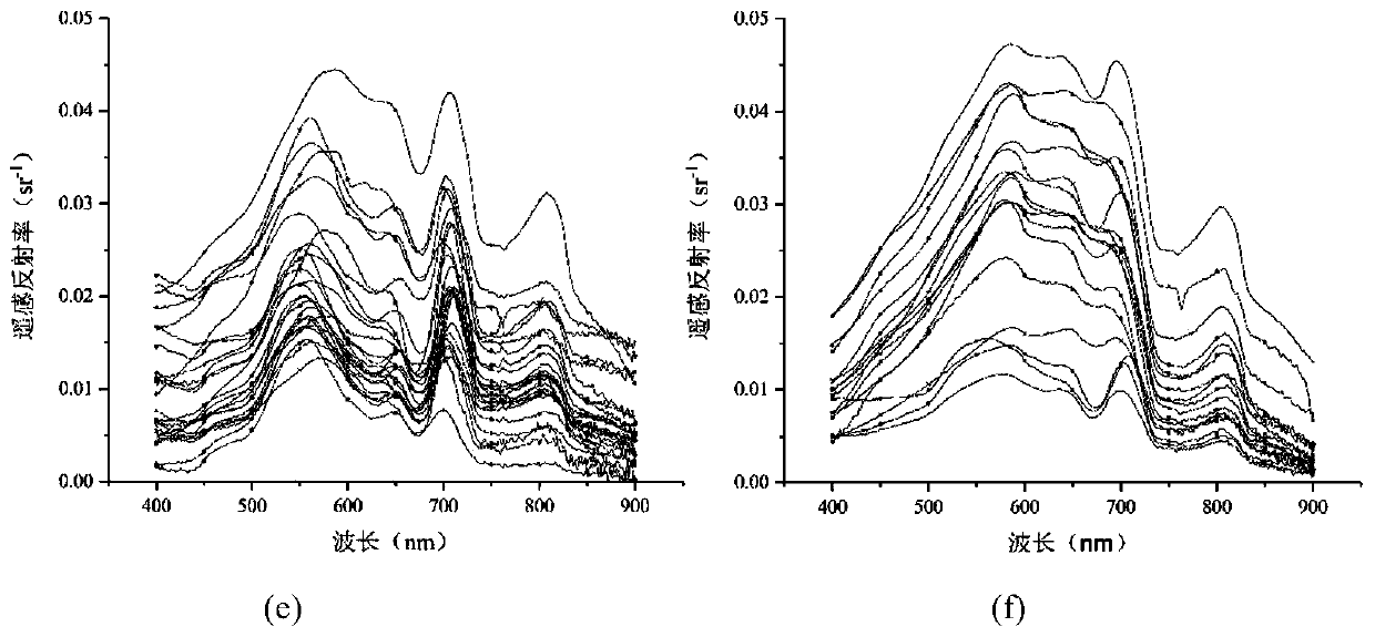 Urban black and odorous water body grading method based on spectrum matching