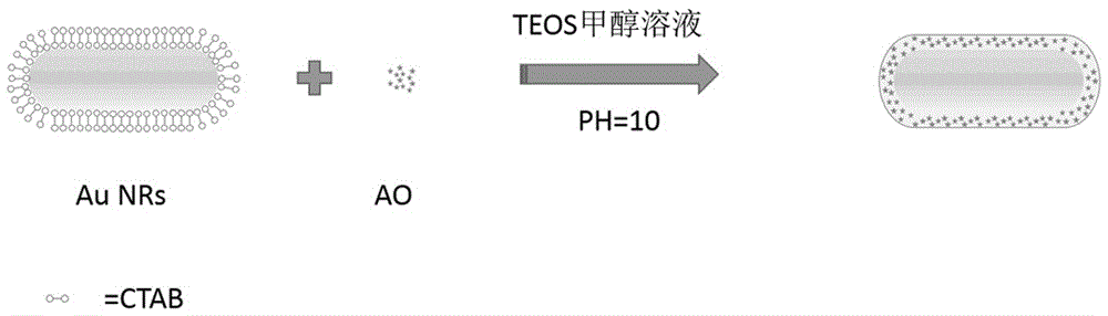 A nano-gold rod for detecting bovine serum albumin and its preparation method and application