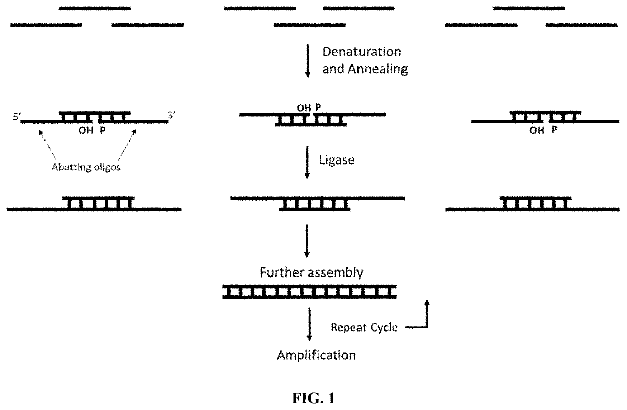 Methods for assembling nucleic acids