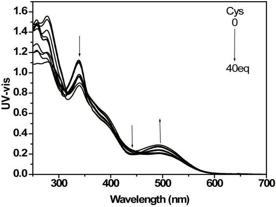 Synthesis and fluorescence detection imaging application of phosphorescence iridium complex