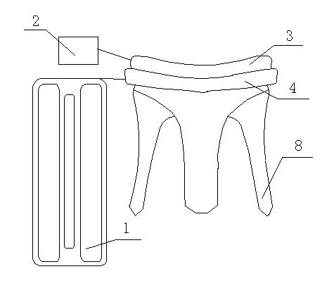 Biological power duplex valve device and charging and discharging method