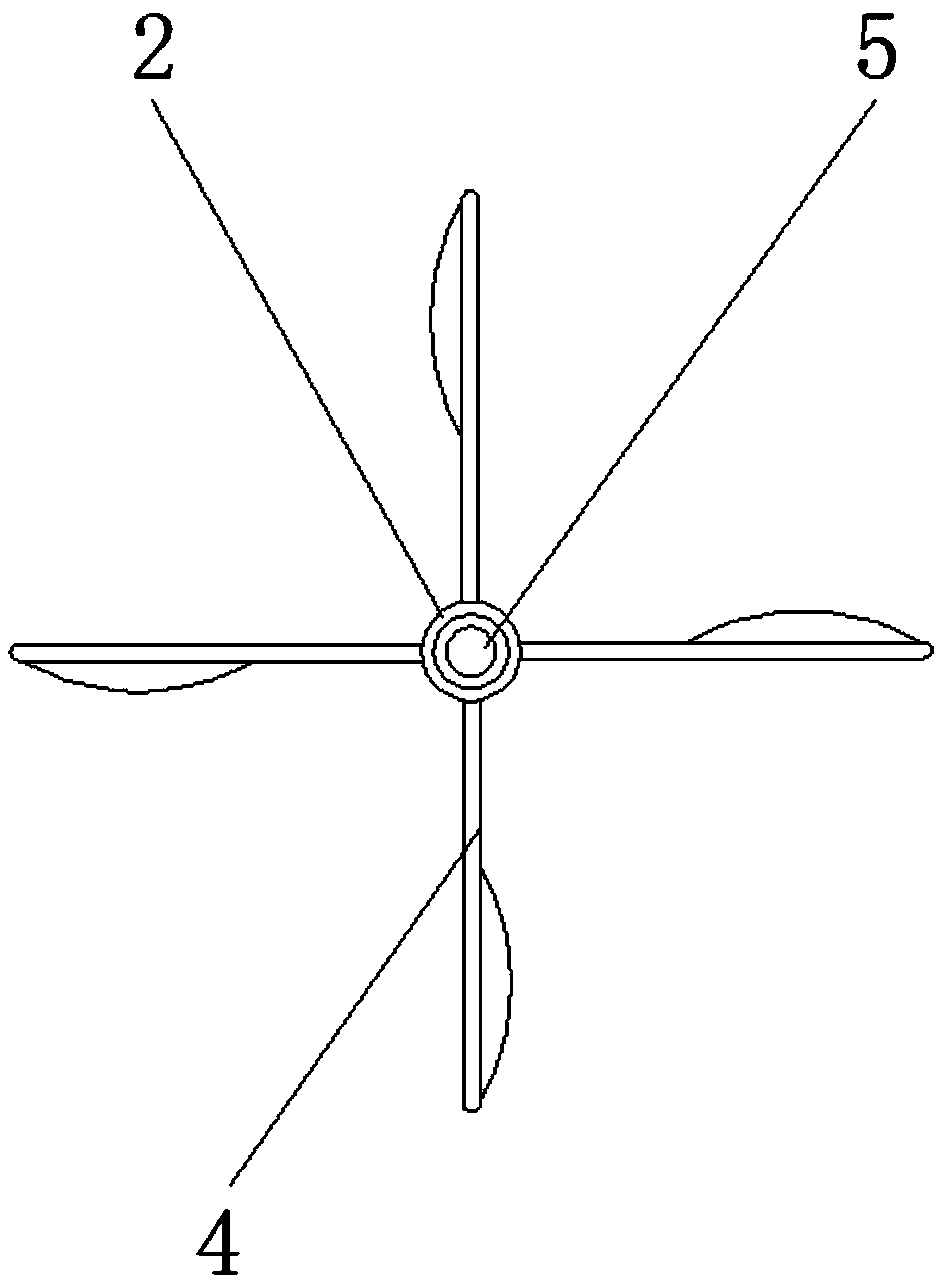 Drying and stir-frying device for black tea making