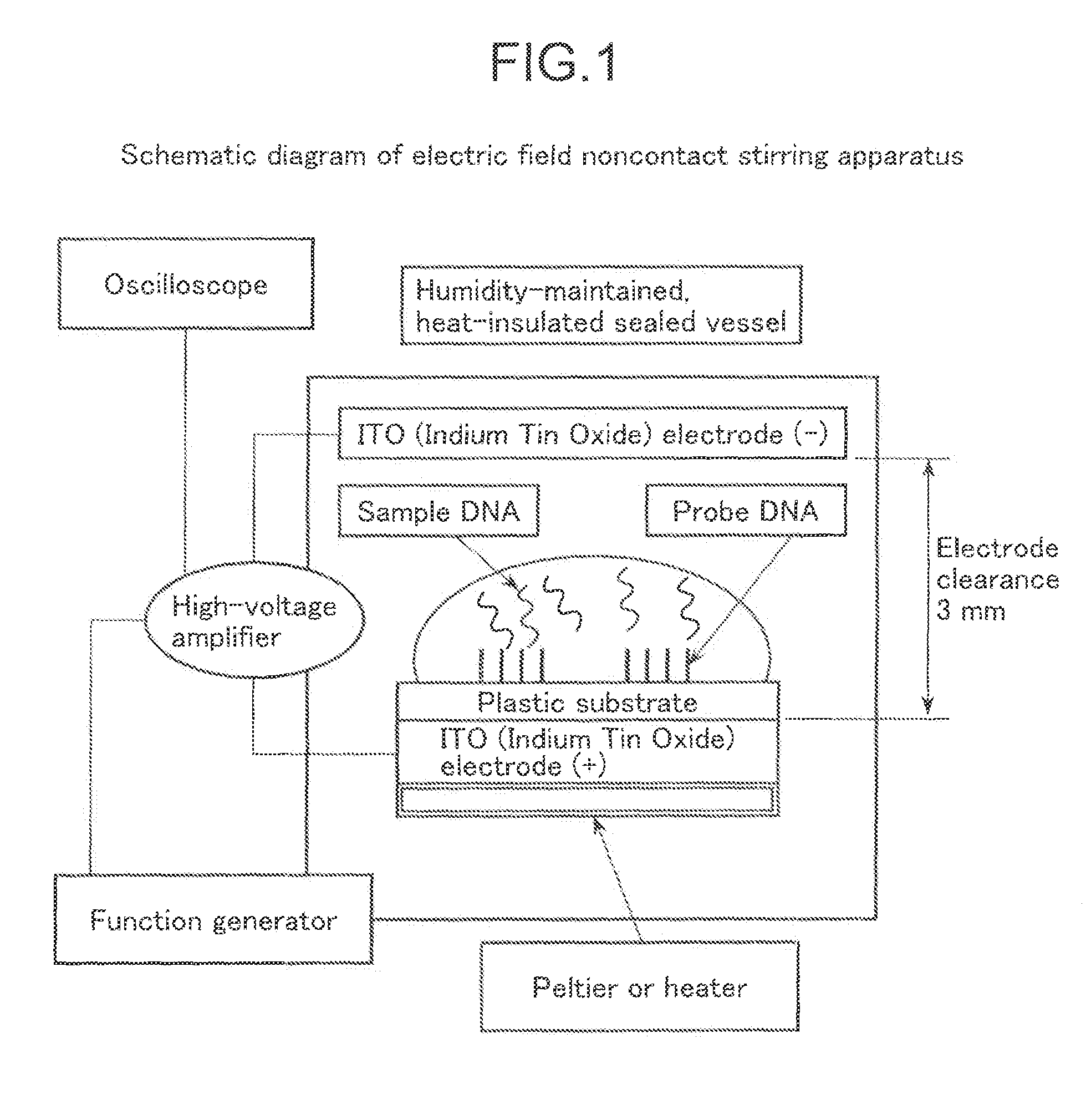 Noncontact stirring method, noncontact stirring apparatus, method and apparatus for reacting nucleic acid hybridization using the apparatus, method for detecting nucleic acid in sample, apparatus for detecting nucleic acid, method for detecting antibody in sample, apparatus for detecting antibody