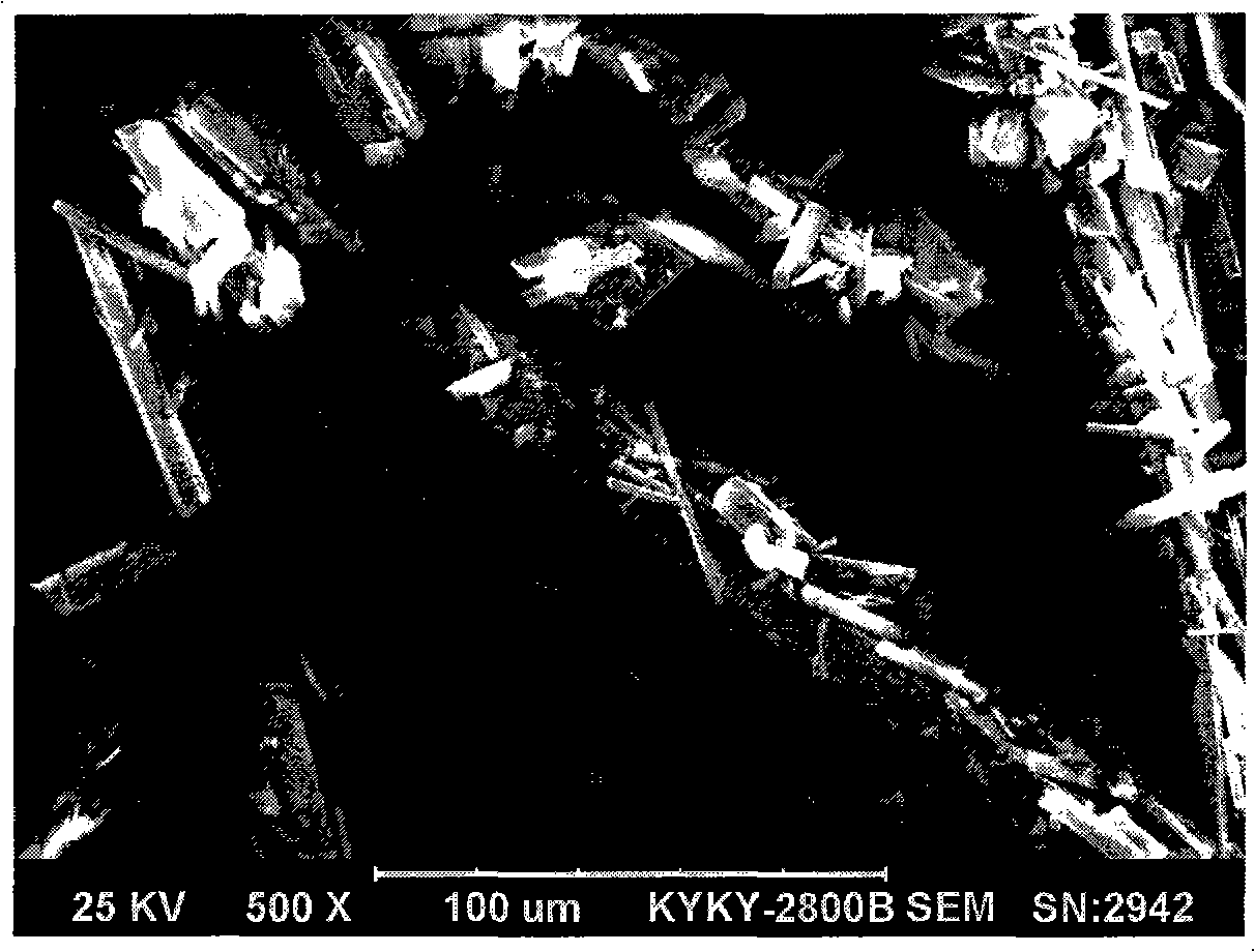 Lithium ionic cell cathode material of graphite-like structure and preparing process thereof