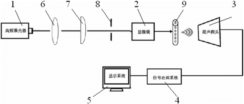 Biological tissue photoacoustic circulating tumor cell detection and diagnosis device and method