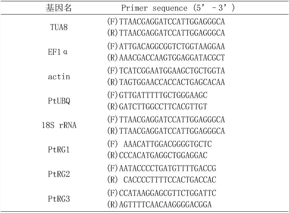 Method for screening reference genes related to regulation and control of poplar stress resistance gene expression