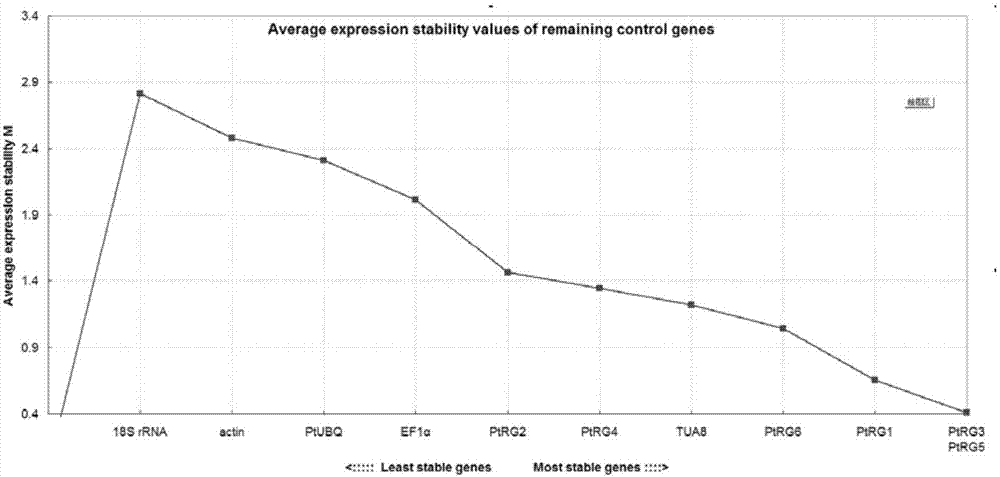 Method for screening reference genes related to regulation and control of poplar stress resistance gene expression