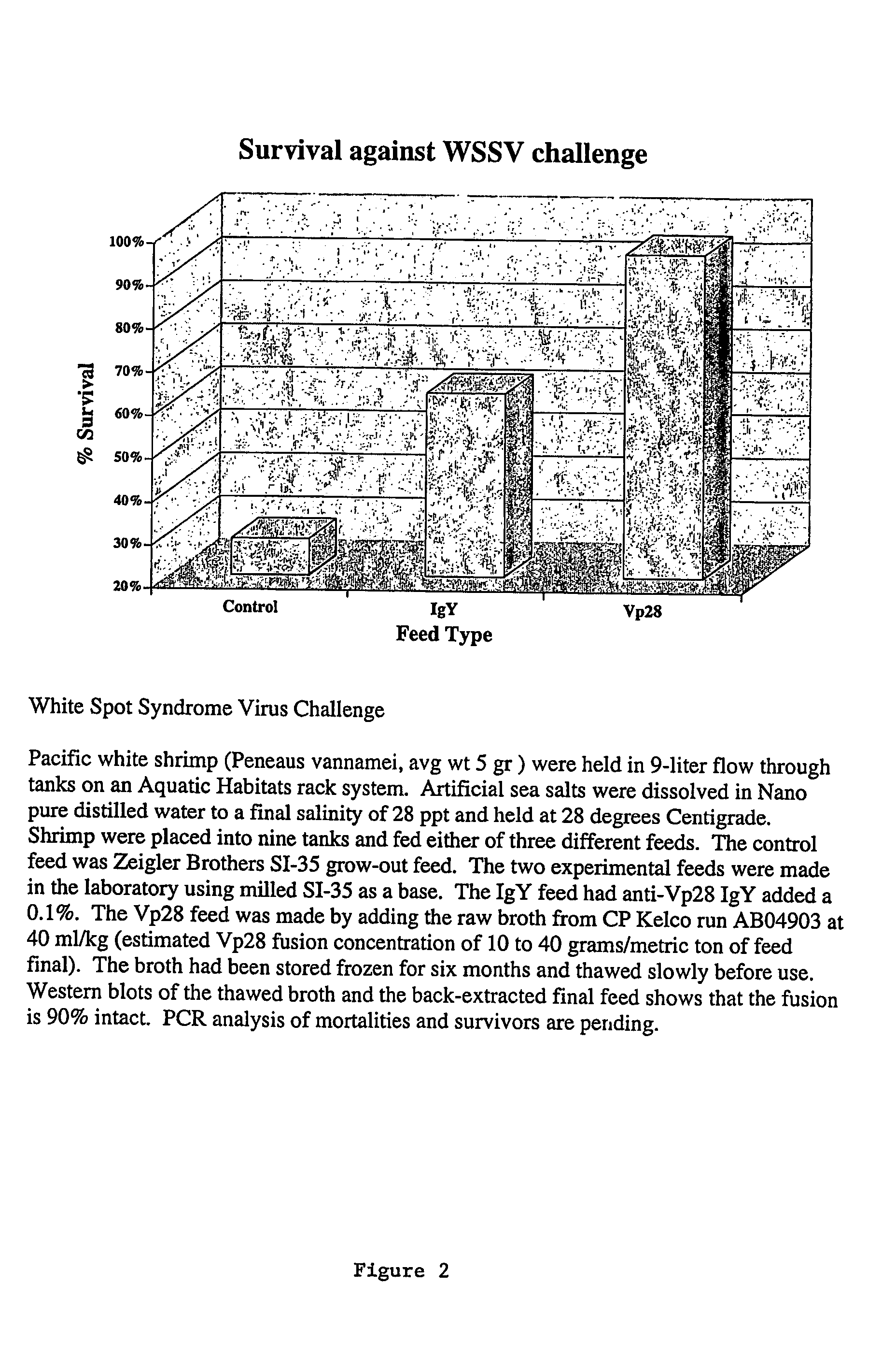 Compositions and methods for inhibiting white spot syndrome virus (wssv) infection