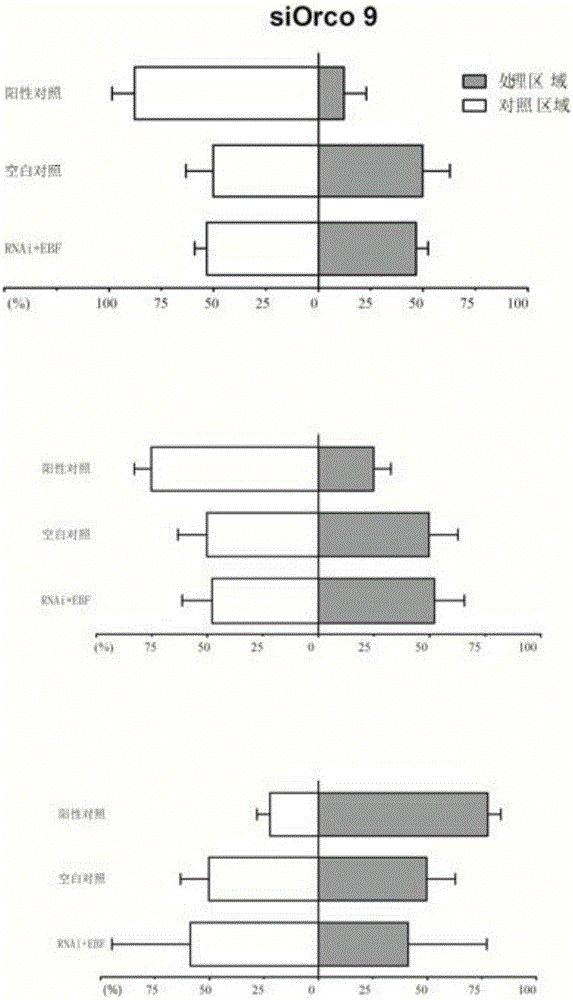 siRNA designed based on conservative sequence of olfactory receptor SaveOrco of sitobion avenae and application thereof