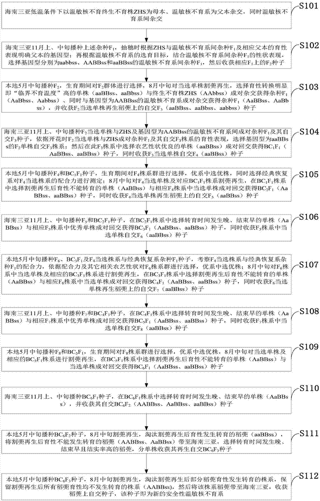 Efficient breeding method for safety thermo-sensitive genic sterile line and two-line hybrid rice