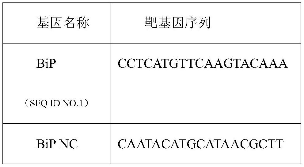 A method for improving the secretion rate of exogenous protein expressed by silkworm cells