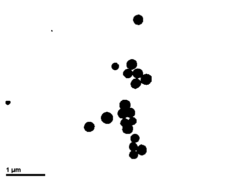 Preparation method of collagen coating embedded with chitosan microspheres on medical metal implant surface