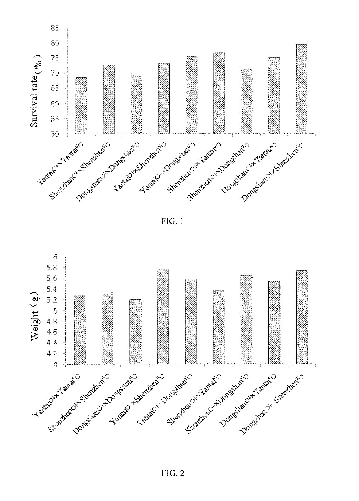 Breeding method for obtaining heterosis in lined seahorses