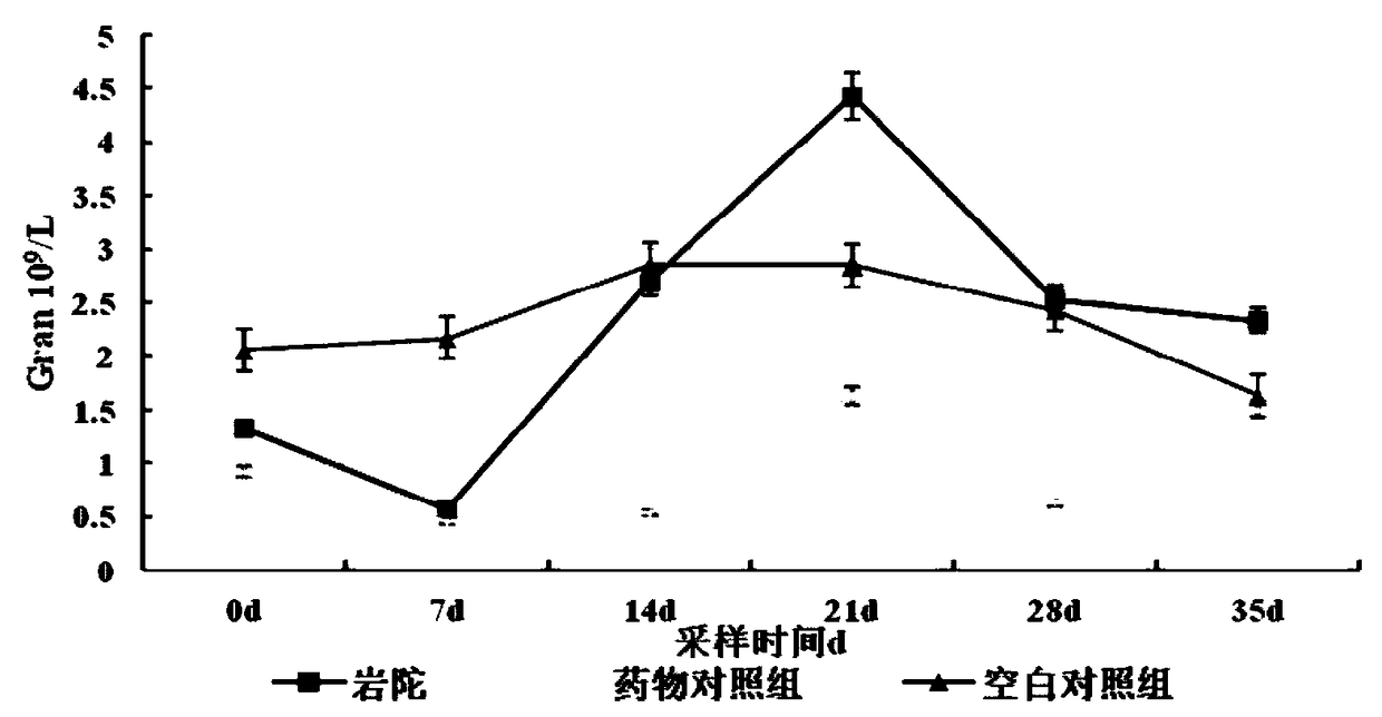 Application of rodgersia sambucifolia extract in preparation of veterinary drug