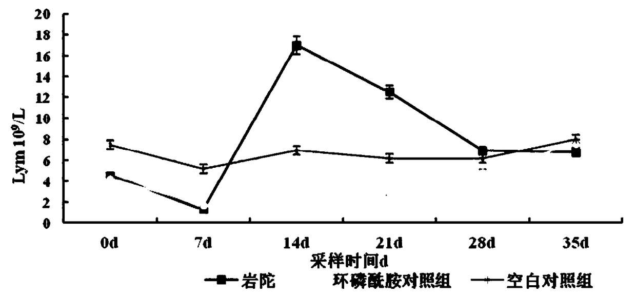 Application of rodgersia sambucifolia extract in preparation of veterinary drug