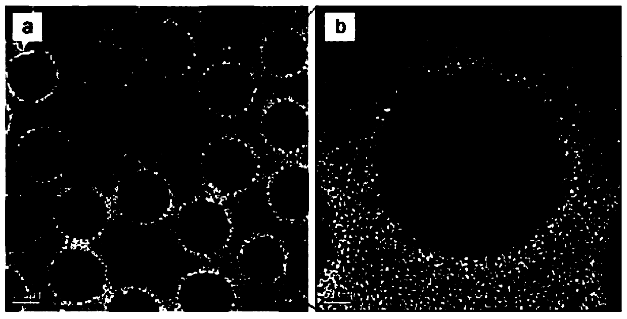 A method for preparing temperature-responsive surfaces based on self-polymerization of dopamine