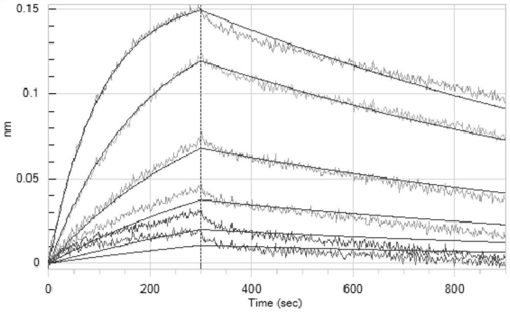 Antibodies against SARS-CoV-2 mutants and uses thereof