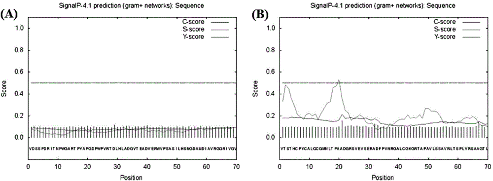 Engineering bacteria based on nitrate reductase and implementation method of engineering bacteria