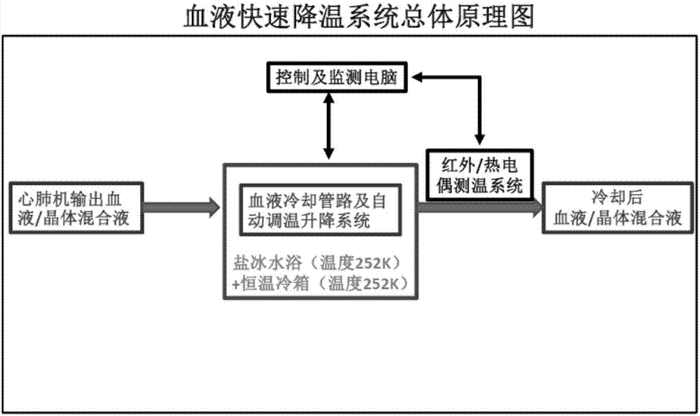 Cooling device for myocardial preservation