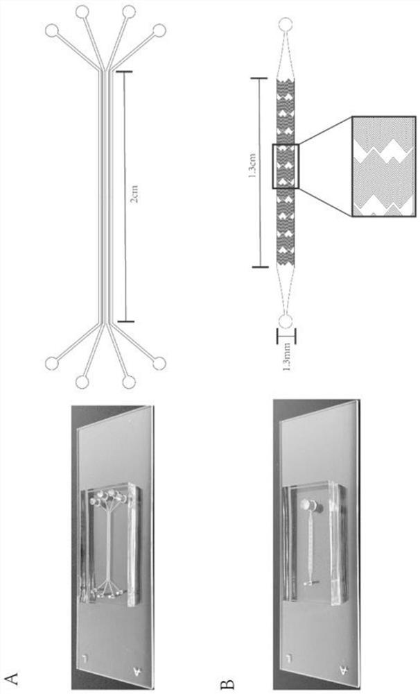 Exosome detection and typing micro-fluidic chip and exosome detection and typing method