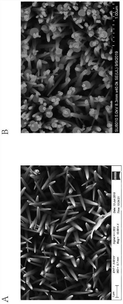 Exosome detection and typing micro-fluidic chip and exosome detection and typing method