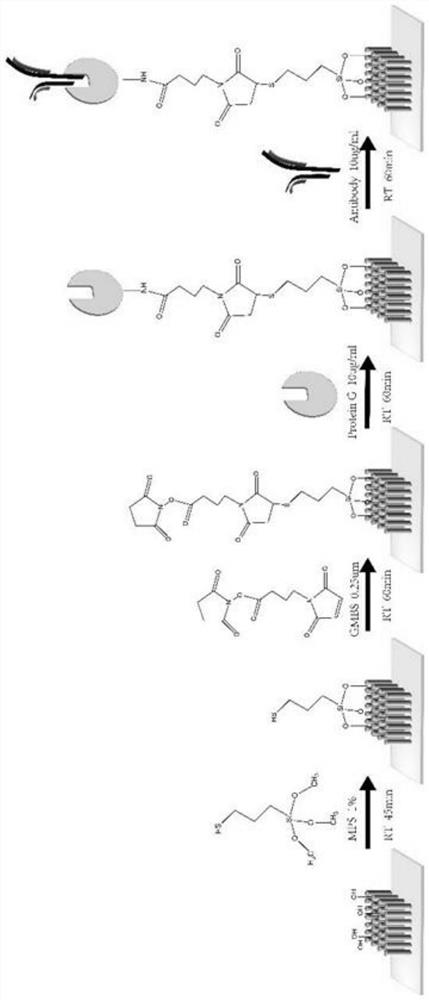 Exosome detection and typing micro-fluidic chip and exosome detection and typing method