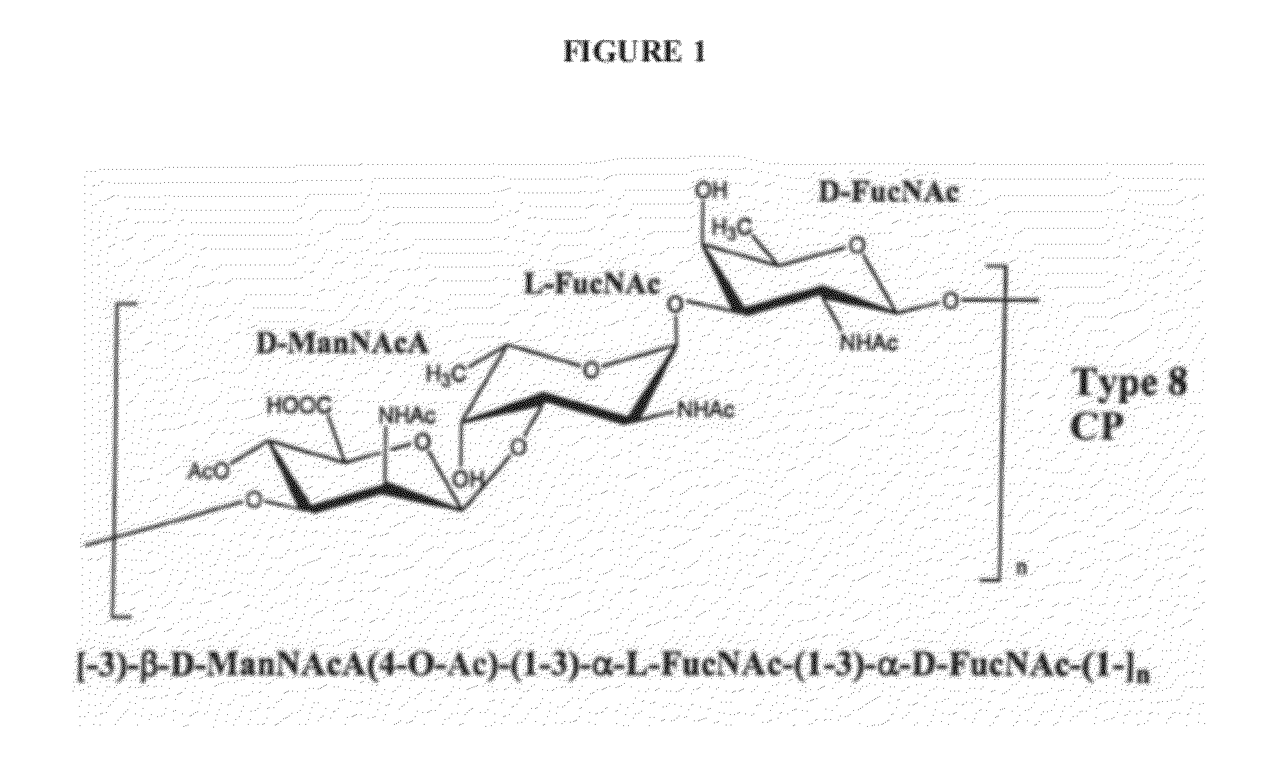 Compositions and methods for preparing staphylococcus aureus serotype 5 and 8 capsular polysaccharide conjugate immunogenic compositions