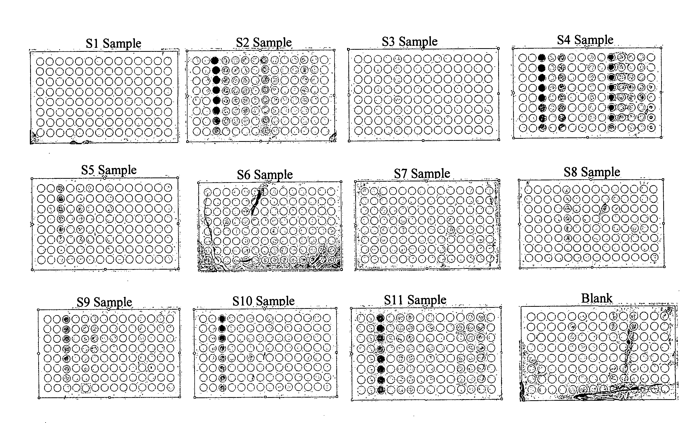 Protein chips for HPV detection