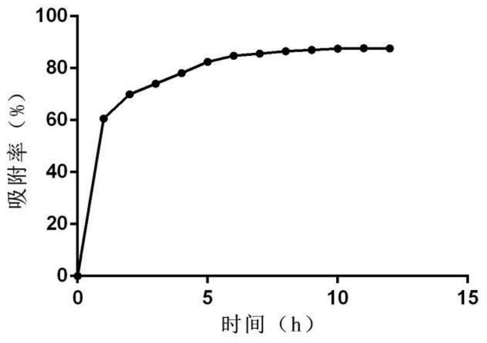 Application of dried indigofera stachyoides root extract in preparation of whitening and freckle-removing preparation