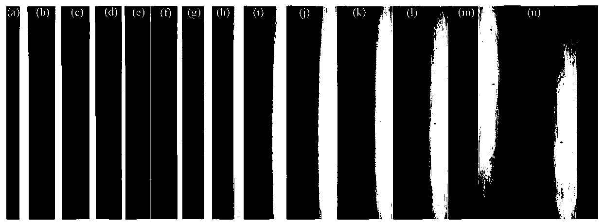 A Method for Quickly Measuring Liquid Diffusion Coefficient Based on Observation Height of Liquid Cylindrical Lens