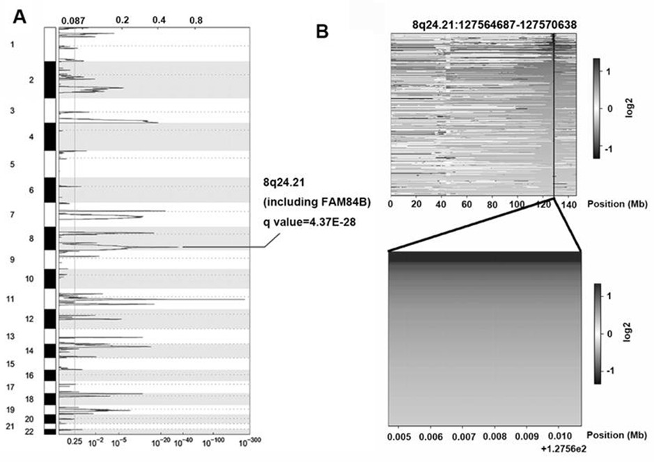 Application of FAM84B in preparation of reagent for prognosis evaluation of esophageal squamous cell carcinoma and in screening of drugs for targeted treatment of esophageal squamous cell carcinoma