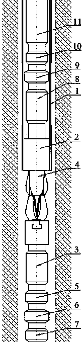 High-expansibility naked eye suspension adhering system and method