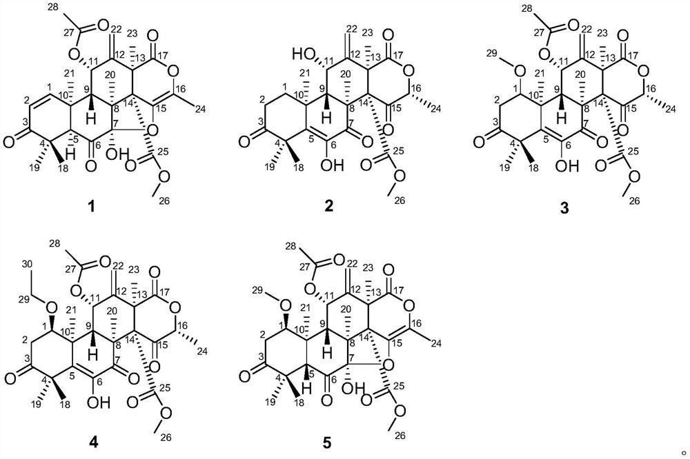 Marine fungus-derived meroterpenoids and application thereof in preparation of anti-inflammatory drugs