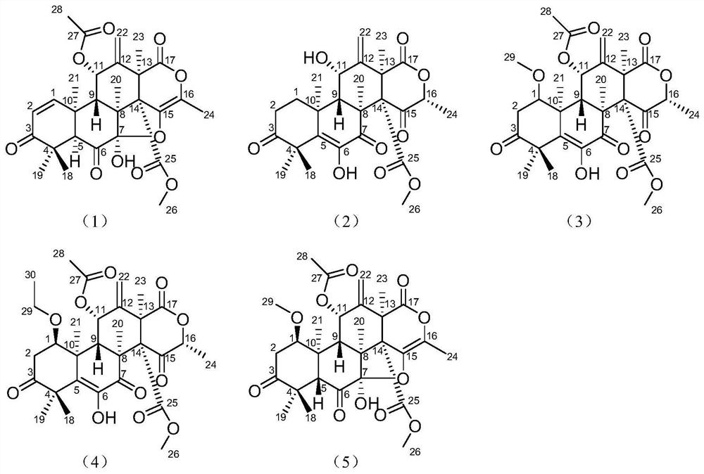 Marine fungus-derived meroterpenoids and application thereof in preparation of anti-inflammatory drugs