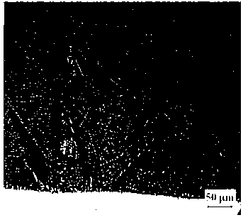 Method for refining solidified structure of laser cladding layer by using alternating magnetic field and device thereof