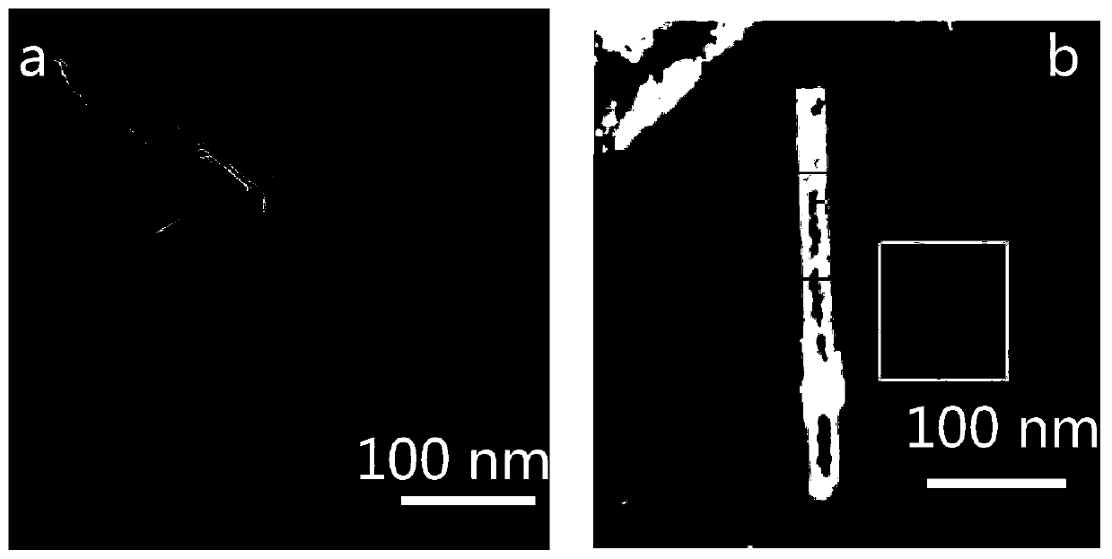 A zinc sulfide nanobelt, its preparation and its application in the preparation of cathode materials for lithium-sulfur batteries