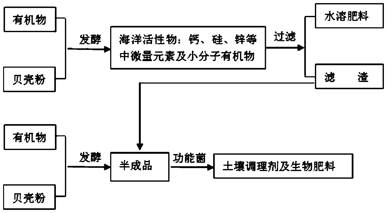 Method for producing water-soluble fertilizer by using shells