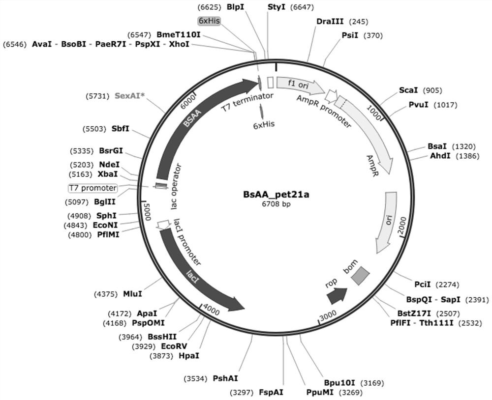 Recombinant amide hydrolase gene and application thereof