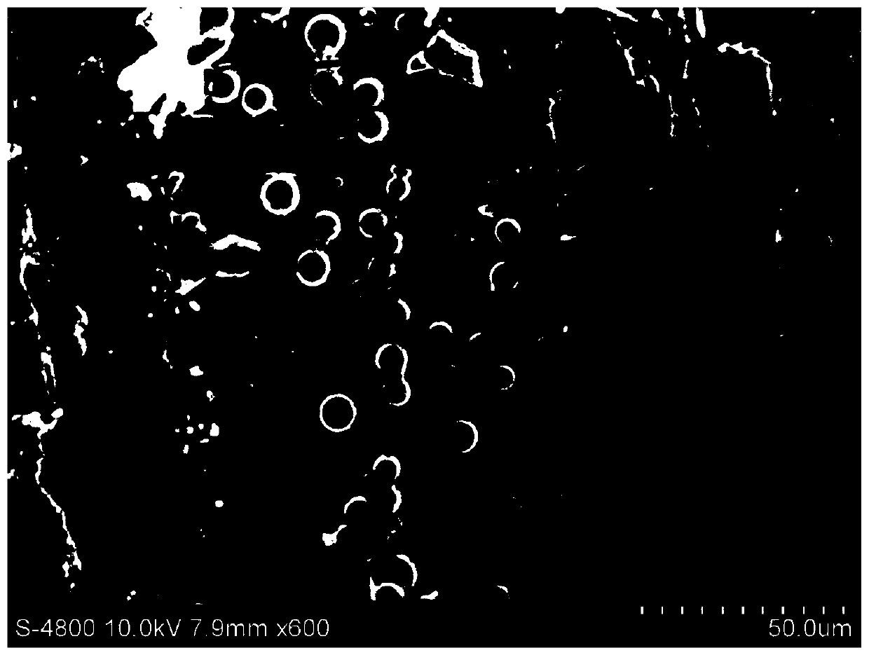 Wood preservative and application thereof