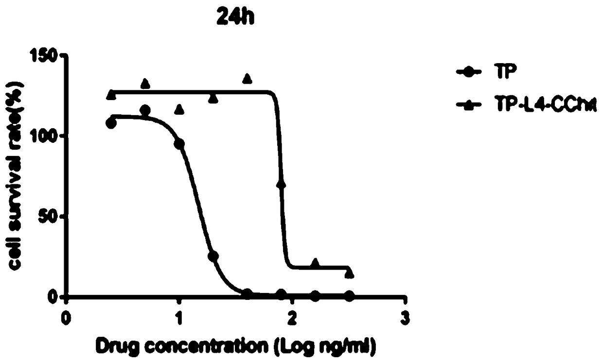 Preparation method and application of triptolide-carboxylation chitosan coupling drug