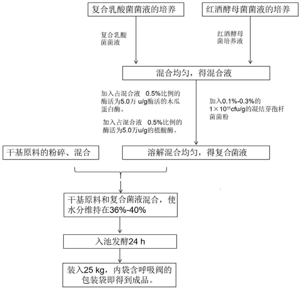 Functional fermented feed for laying hens as well as preparation method and application thereof